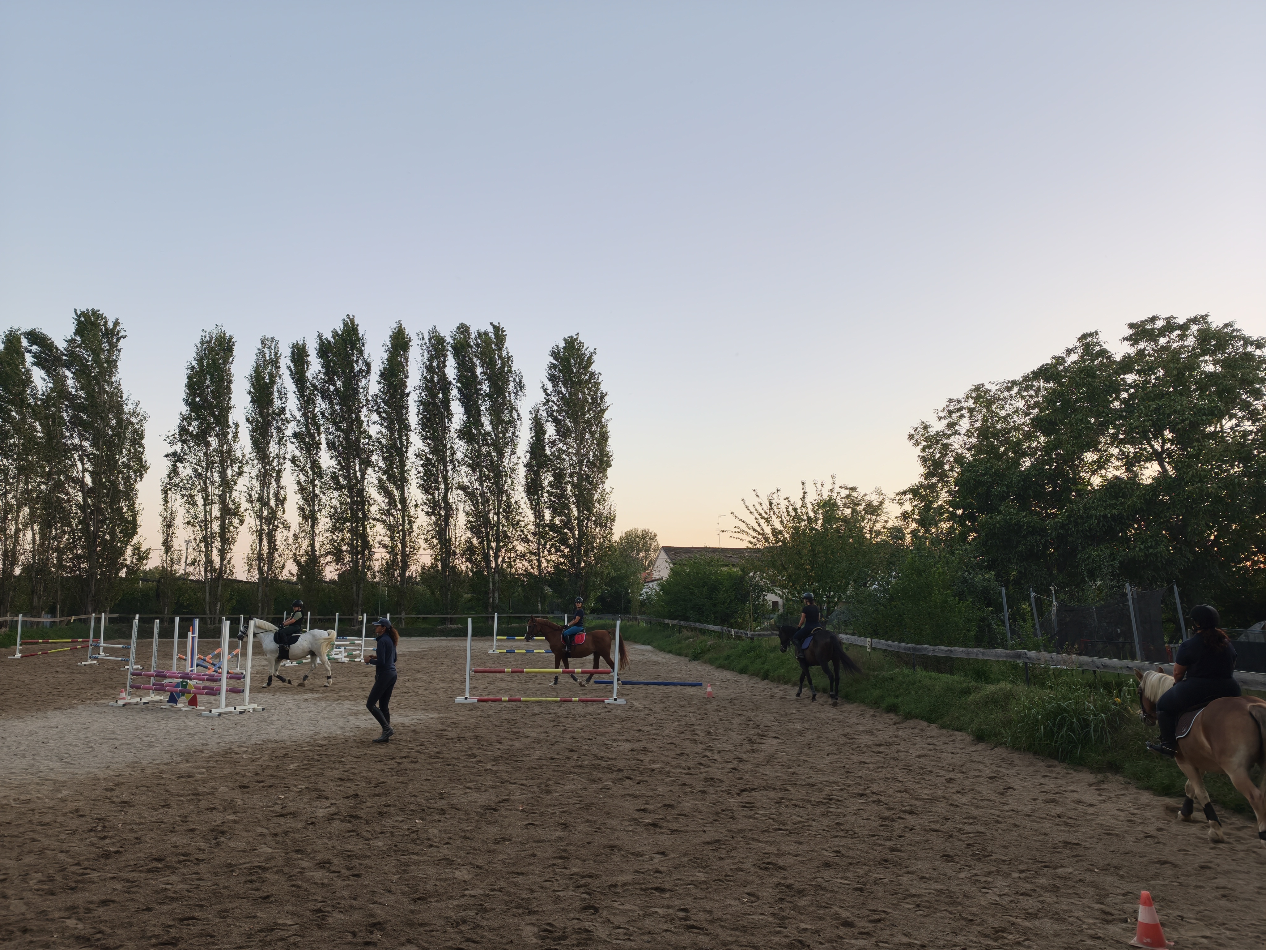 Lezioni e attività a cavallo al Maneggio Re Artù